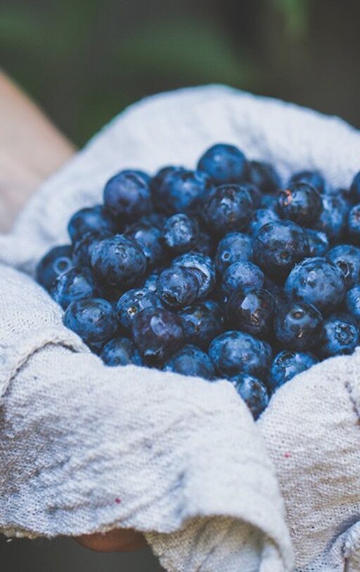 Superfoods you should be eating